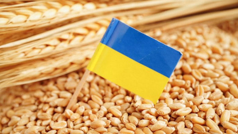Spania sustine ca interzicerea cerealelor ucrainene de unele state UE este ilegala: „Pentru solidaritate trebuie sa existe unitate” Imagine