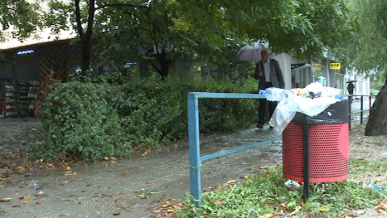 Spatii verzi neintretinute in... orasul florilor Imagine