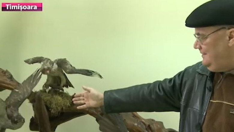 Specii rare de animale, expuse intr-un muzeu din Timisoara Imagine