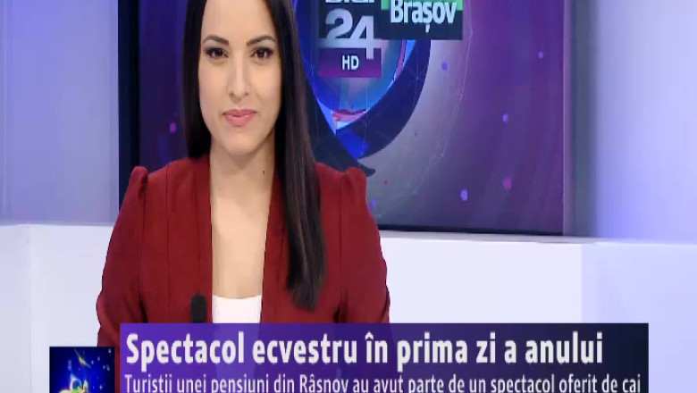 Spectacol ecvestru in prima zi a anului. Turistii unei pensiuni din Rasnov au avut parte de un spectacol oferit de cai Imagine