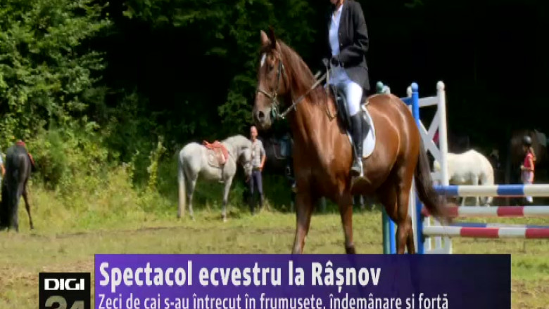Spectacol ecvestru la Rasnov Imagine