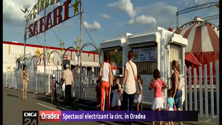 Spectacol electrizant la circ, in Oradea Imagine