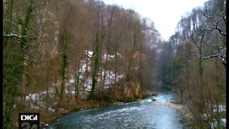 Spectacolul naturii in pestera lui Emil Racovita Imagine