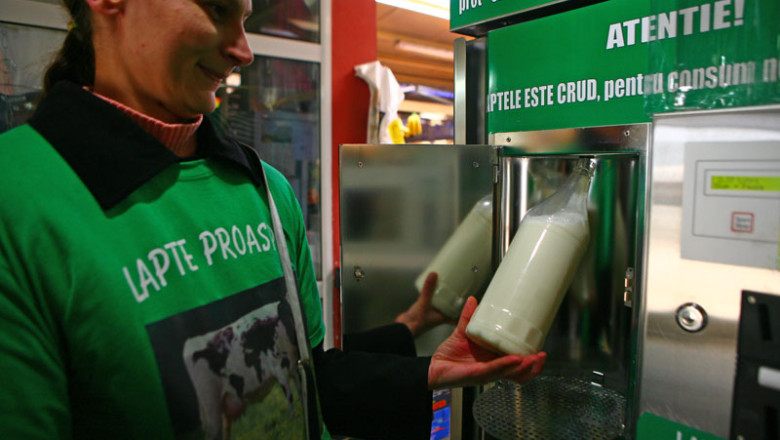 Standarde europene. Laptele crud nu mai poate fi vandut in piete decat cel mult doua ore dupa ce a fost muls Imagine