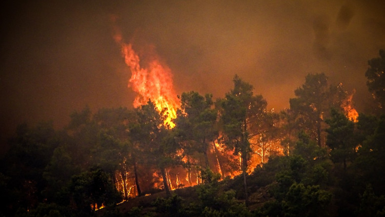Stare de alerta in Grecia. Care sunt regiunile cu risc extrem de incendiu Imagine