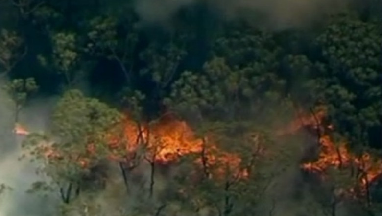 Stare de urgenta in Australia. Cele mai grave incendii din ultimii 40 de ani Imagine