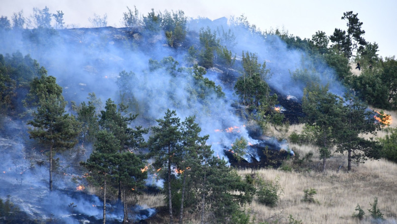 Stare de urgenta in Macedonia de Nord, din cauza incendiilor de padure Imagine