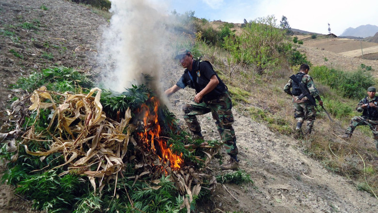 Stare de urgenta in Peru. Armata este scoasa in strada pentru a opri guparile criminale implicate in asasinate si minerit ilegal Imagine