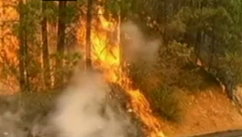 Stare de urgenta in San Francisco, din cauza incendiilor scapate de sub control Imagine