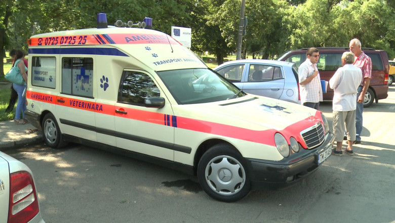 Start la campania de sterilizare a cainilor din Timisoara Imagine