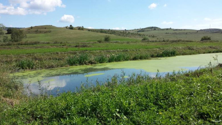 Statie de epurare ecologica la Viscri. Modelul nu a mai fost folosit in restul tarii Imagine