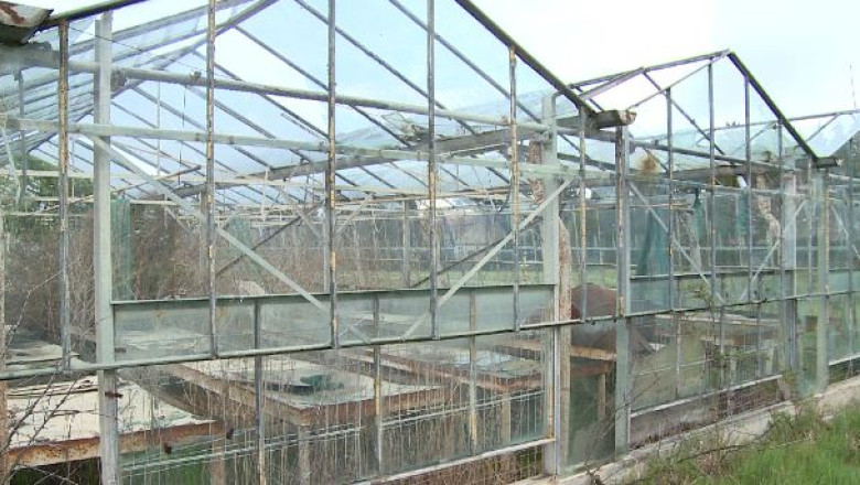 Statiune pomicola premiata international, aproape de inchidere Imagine