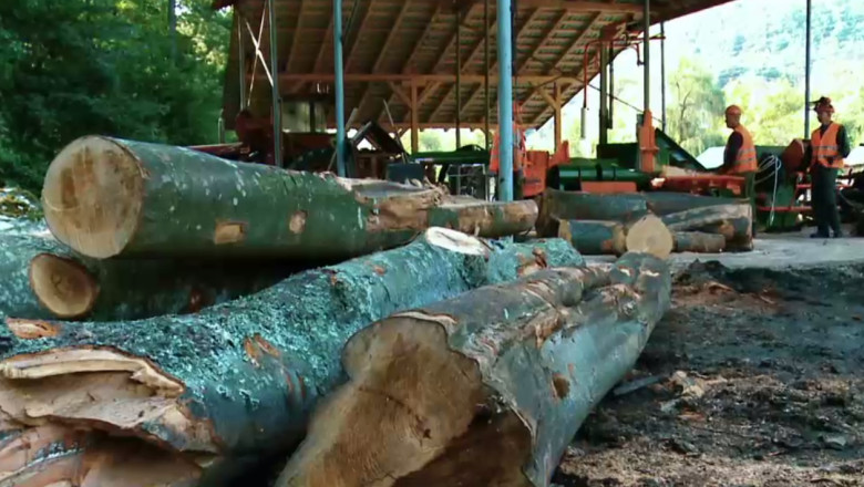 Statul la stat. Piata lemnului de foc este la pamant din cauza plafonarii pretului. Guvernantii arunca vina unii pe altii Imagine