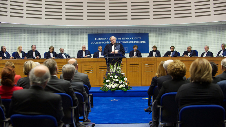 Statul roman, condamnat la CEDO in cazul unui tanar mort in conditii suspecte intr-un spital de psihiatrie  Imagine