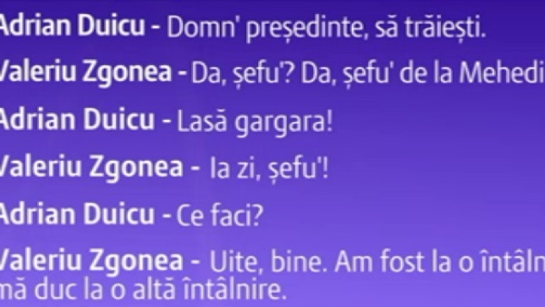Stenograme. Adrian Duicu si Valeriu Zgonea discuta despre numiri la vama Imagine