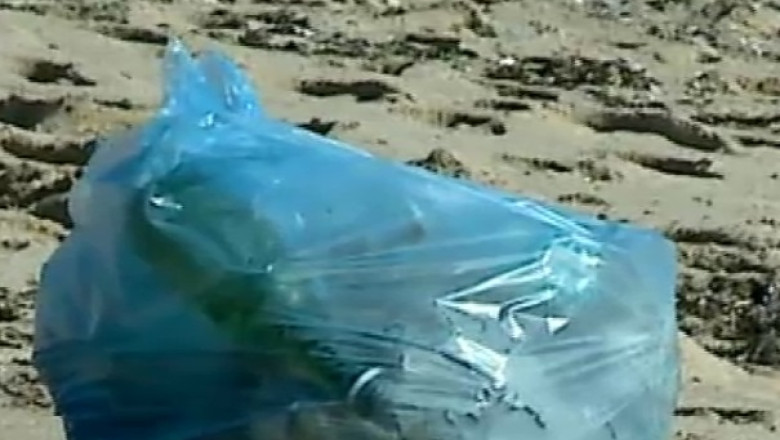 Strainii au venit sa curete gunoiul de pe litoralul romanesc Imagine