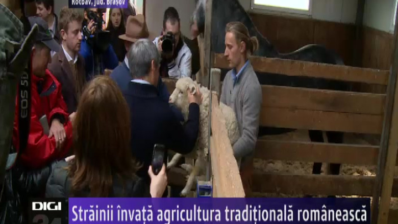 Strainii invata agricultura traditionala romaneasca Imagine