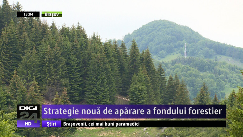 Strategie noua de aparare a fondului forestier Imagine