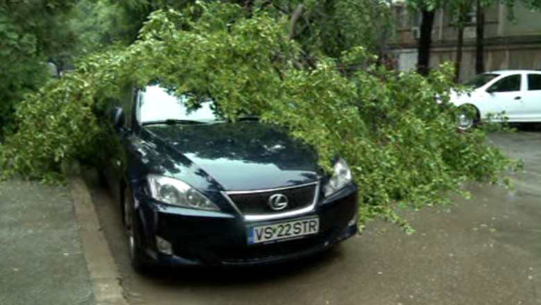 Strazi inundate si un copac pus la pamant de ploaie Imagine