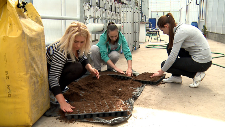 Studentii de la Horticultura vor obtine 10.000 de lei din vanzarea de rasaduri Imagine
