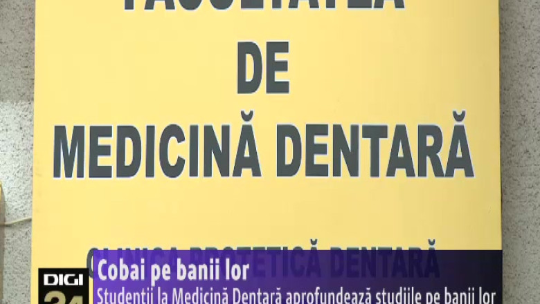 Studentii la Medicina Dentara aprofundeaza studiile pe banii lor Imagine