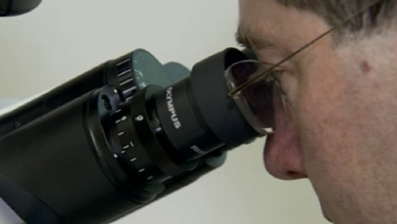 STUDIU al cercetatorilor clujeni: Cancerul, tratat cu aur Imagine