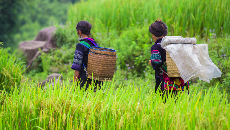 Studiu: Au existat migratii preistorice din China in America: "Un rezervor genetic" Imagine