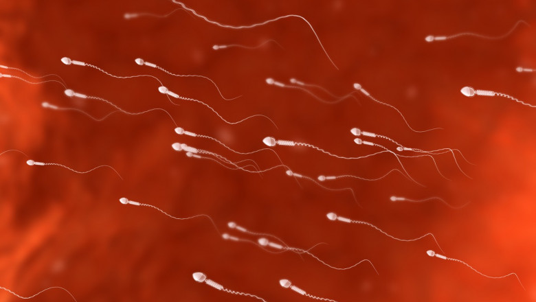 Studiu. Barbatii cu sperma de calitate superioara traiesc mai mult. Cateva cifre despre speranta de viata Imagine