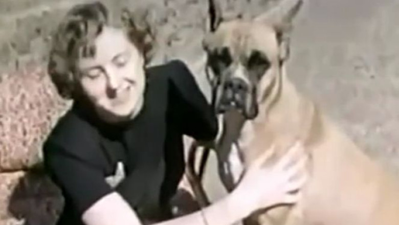 Studiu. Eva Braun avea stramosi evrei Imagine