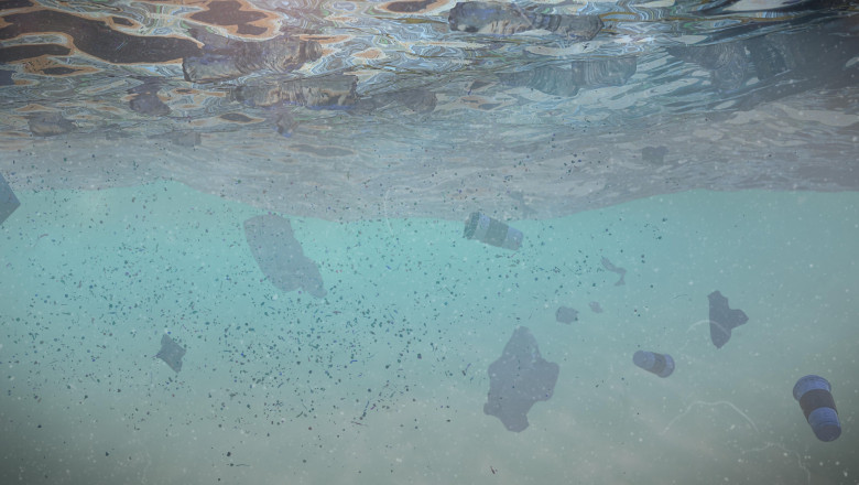 Studiu. Microplasticele patrund adanc in organismele pestilor, apoi in corpul uman Imagine