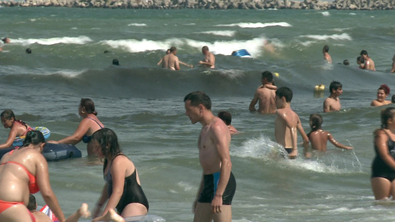  Sub cod galben de canicula  Imagine