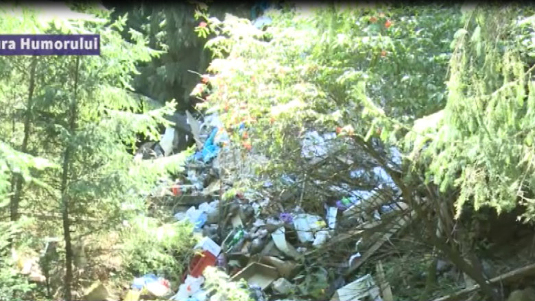 SUCEAVA. Padurea din apropierea manastirii Voronet a fost transformata de localnici in groapa de gunoi Imagine