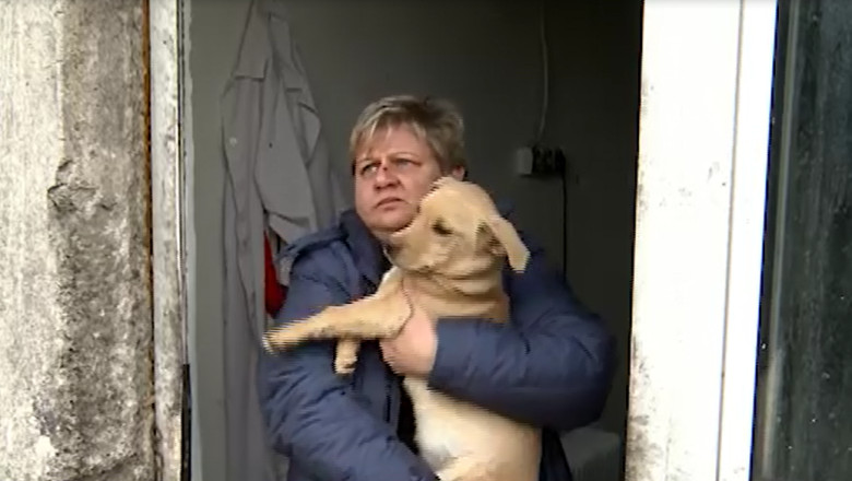 SUCEAVA. Primarul cere sprijin pentru adoptia maidanezilor Imagine