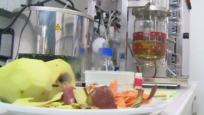 Sucuri din resturi alimentare Imagine