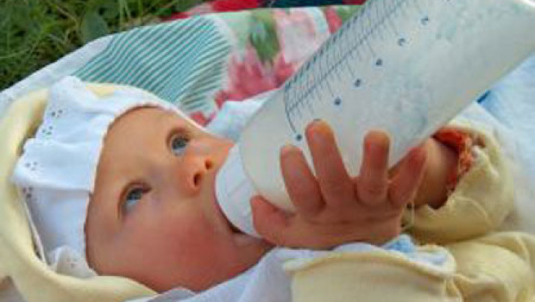 Sugarii din judetul Suceava au ramas fara lapte praf gratuit Imagine