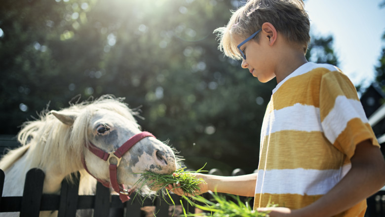 „Sunt apatice sau mai nervoase”. Canicula afecteaza si animalele de la Zoo. De ce tratament special au parte in aceste zile toride Imagine