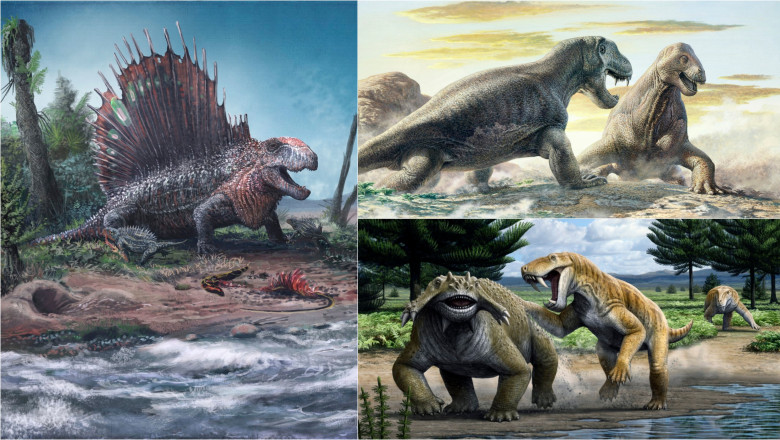 „Super-carnivorele” care au dominat Pamantul inaintea dinozaurilor: Cum aratau monstrii de cosmar de la inceputurile Pangeei Imagine