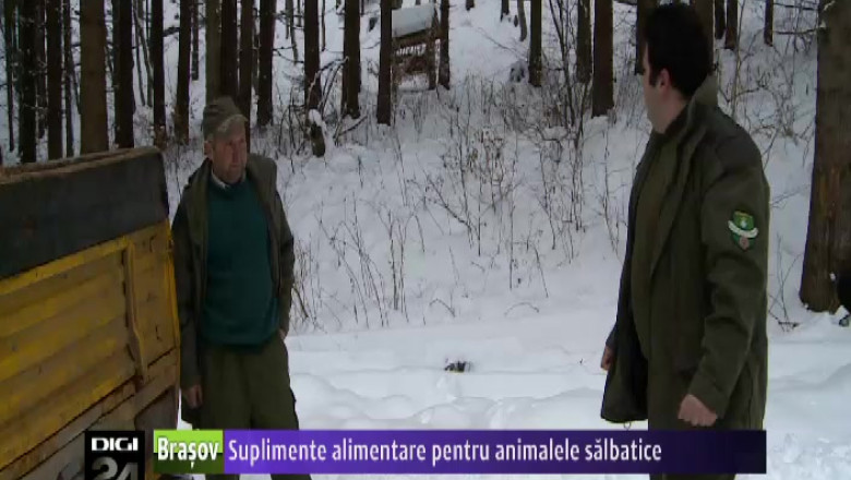 Suplimente alimentare pentru animalele salbatice Imagine