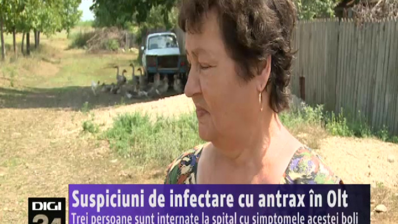 Suspiciuni de infectare cu antrax in Olt. Trei persoane sunt internate la spital cu simptomele bolii Imagine
