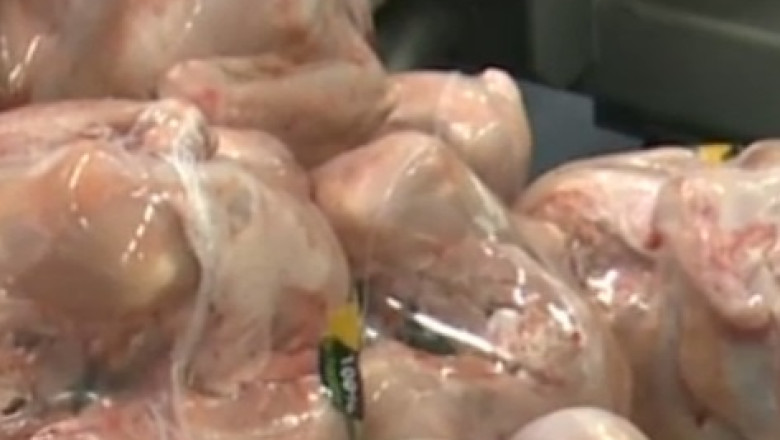 Suspiciuni de salmonella intr-un lot de carne de curcan Imagine