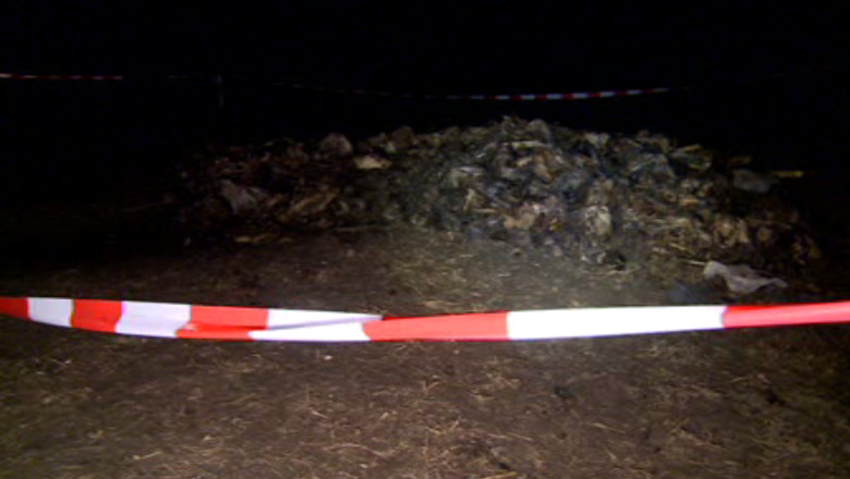 Sute de cranii si copite de cai, aruncate pe un camp din Botosani  Imagine