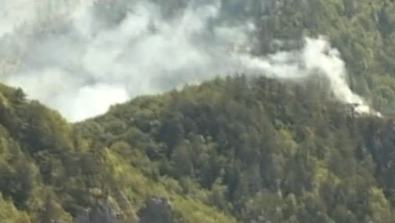 Sute de pompieri si jandarmi se lupta cu flacarile in a sasea zi de incendiu de la Parcul National Domogled Imagine