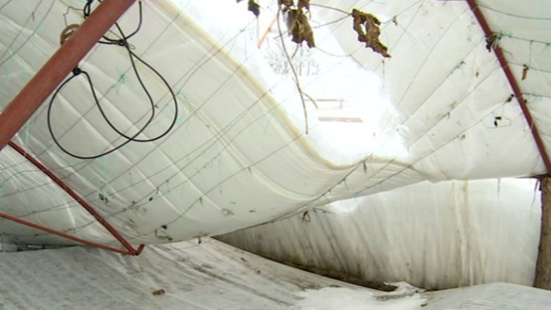 Sute de solarii au fost distruse de stratul gros de zapada Imagine