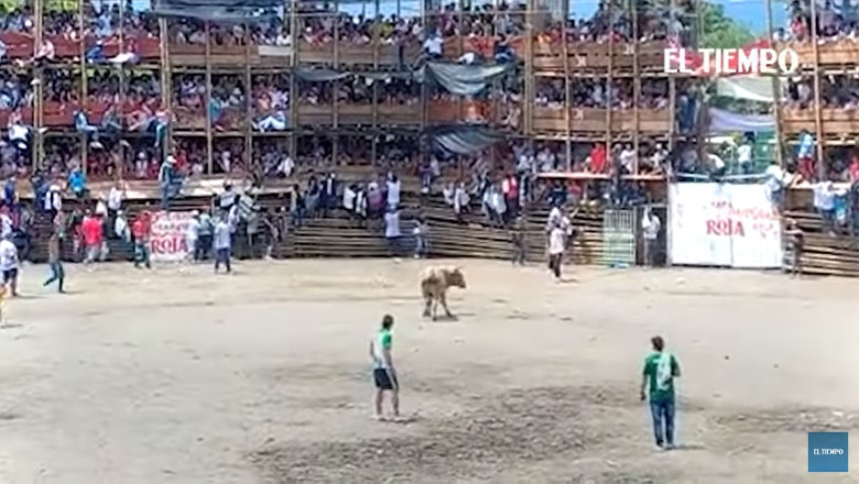 Sute de victime in Columbia, dupa ce o tribuna s-a prabusit in timpul unei coride Imagine