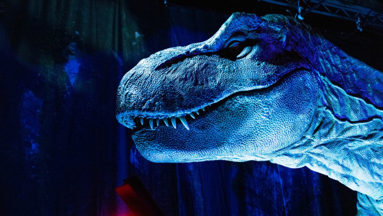 T. Rex avea dintii acoperiti de buze. Cercetator: „Traim inca in umbra Jurassic Park, trebuie sa ne indepartam de aceasta infatisare” Imagine