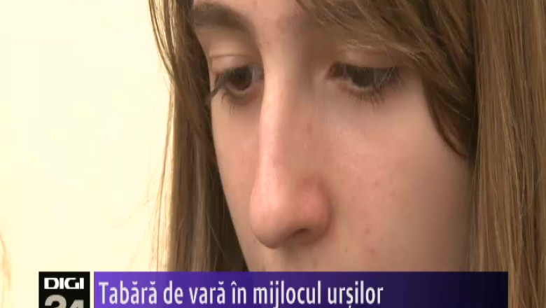 Tabara de vara in mijlocul ursilor  Imagine