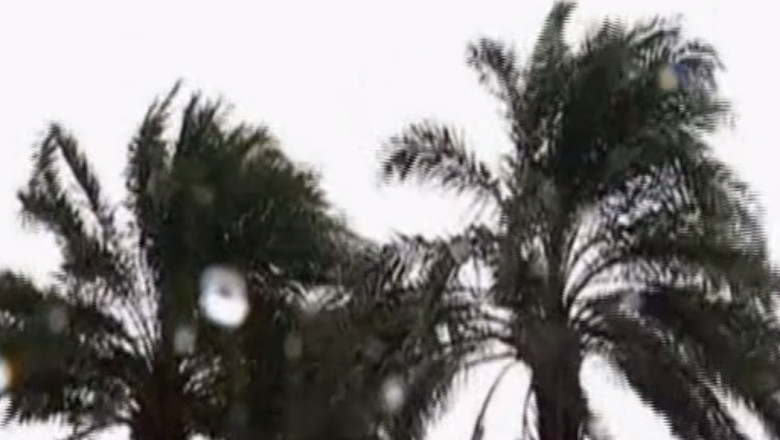 Taifunul Utor loveste China. Zeci de curse aeriene sunt anulate Imagine