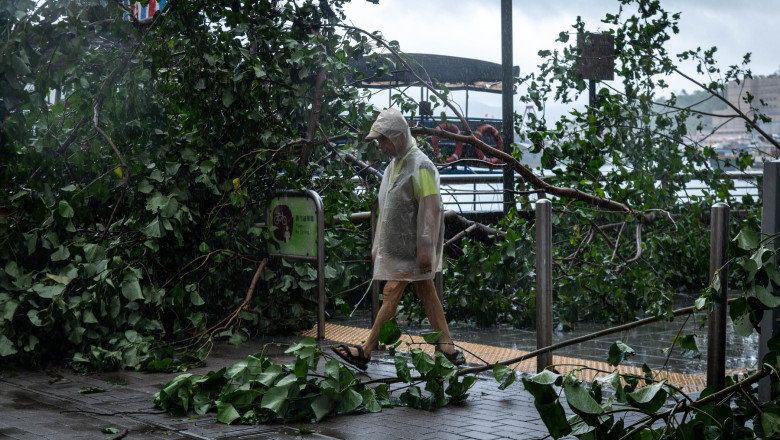 Taifunul Wipha a lovit sudul Chinei: ploi torentiale, peste 400 de copaci doborati si zeci de persoane ajunse la spital in Hong Kong Imagine