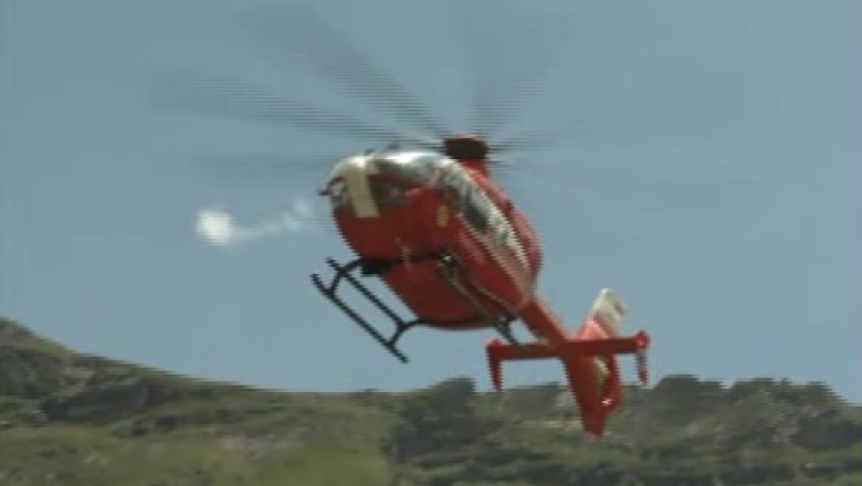 Tanar ranit grav in Muntii Tarcu Imagine