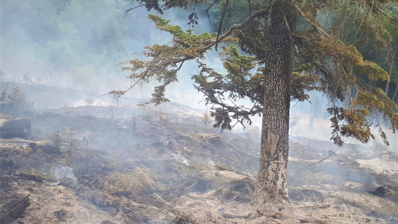 Tanczos Barna avertizeaza ca riscul incendiilor de padure este extrem de crescut: Fac apel la sporirea numarului de patrule Romsilva Imagine